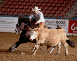 Richard Winters is one of our main clinicians for the 2010 SD Horse Fair.
